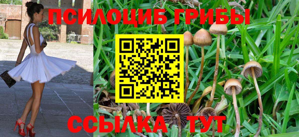 что такое   Вход с VPN  Йошкар-Ола  Псилоцибиновые грибы ЛСД  Галлюциногенные грибы Psilocybine cubensis 